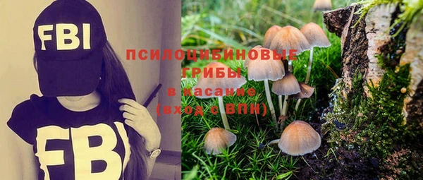 ПСИЛОЦИБИНОВЫЕ ГРИБЫ Абинск