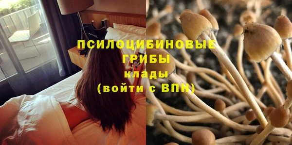 ПСИЛОЦИБИНОВЫЕ ГРИБЫ Абинск