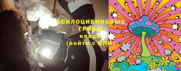 молекула духа Няндома