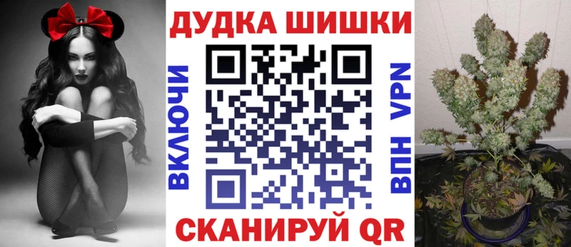 Канабис Amnesia  где купить наркоту  hydra ссылки  Фокино 